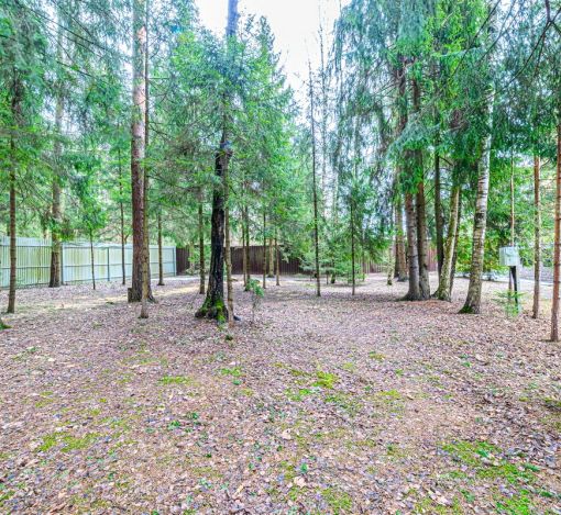 Дом у леса в КП Кезьмино