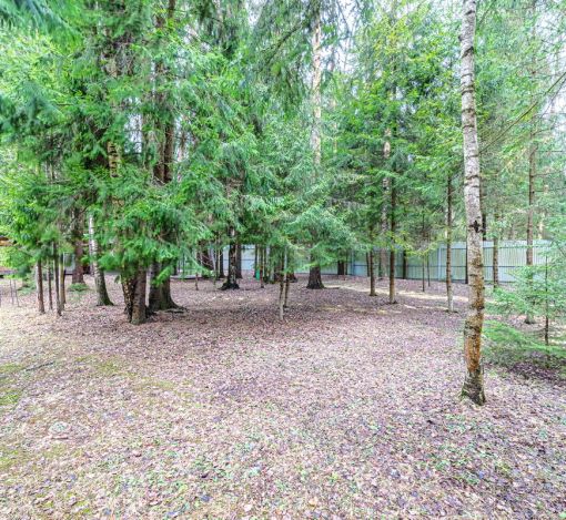 Дом у леса в КП Кезьмино