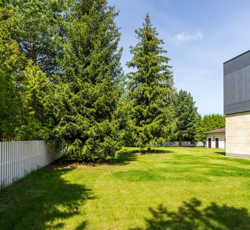 Новый дом в Резиденции Бенилюкс