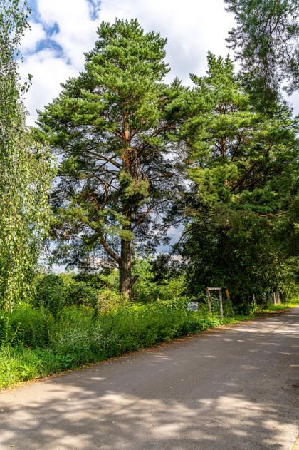 Участок в КП Озерна Резиденс