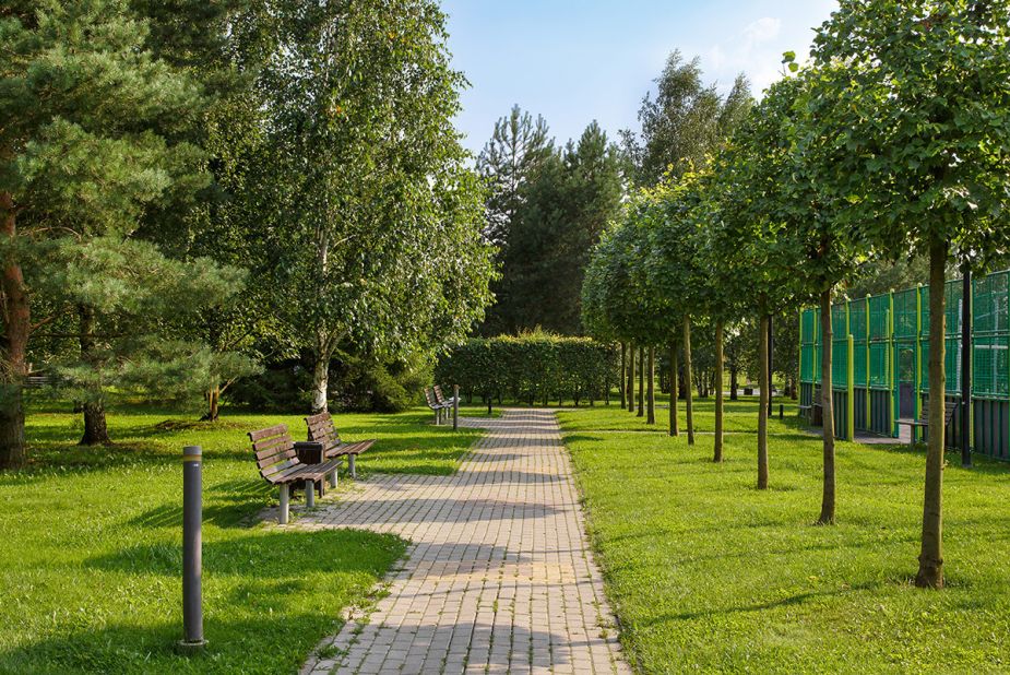 Покровский