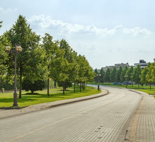 Участок в КП Ренессанс парк