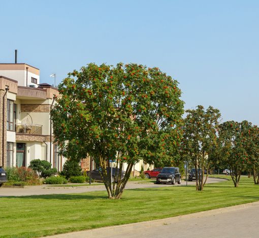 Покровский