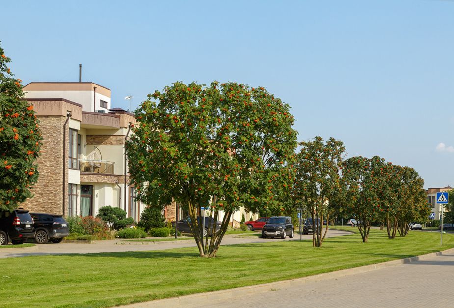 Покровский