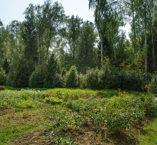 Дом у леса в поселке Риверсайд