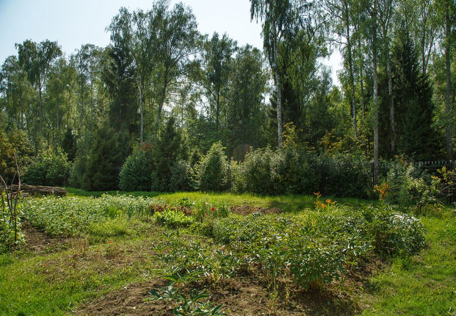 Дом у леса в поселке Риверсайд