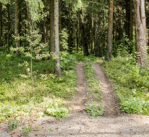 Дом под отделку в кп Лесные Зори