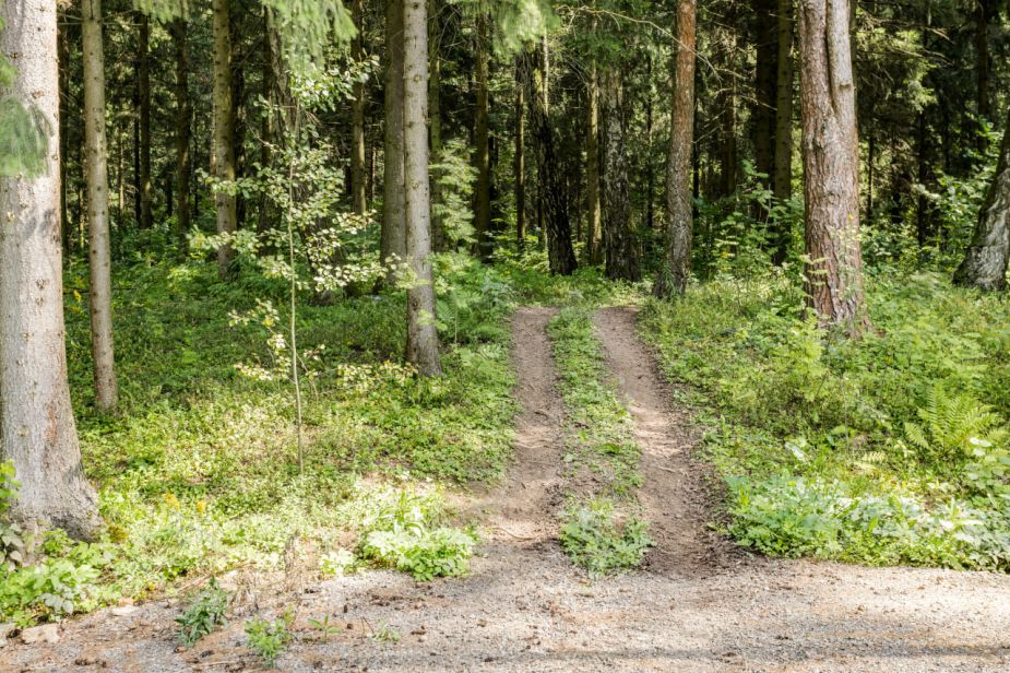 Дом под отделку в кп Лесные Зори