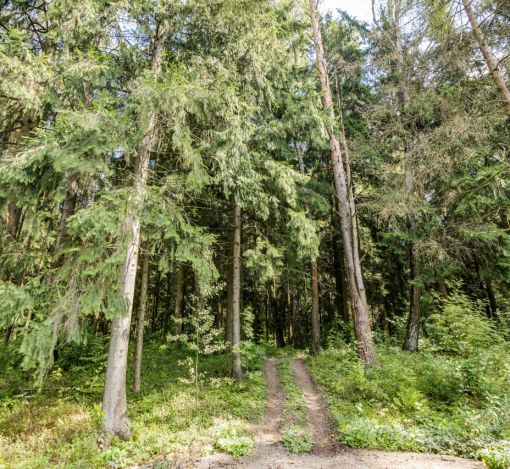 Дом под отделку в кп Лесные Зори