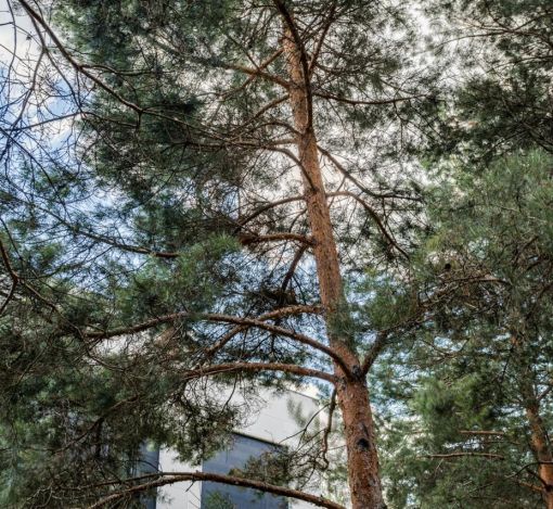 Никольский бульвар