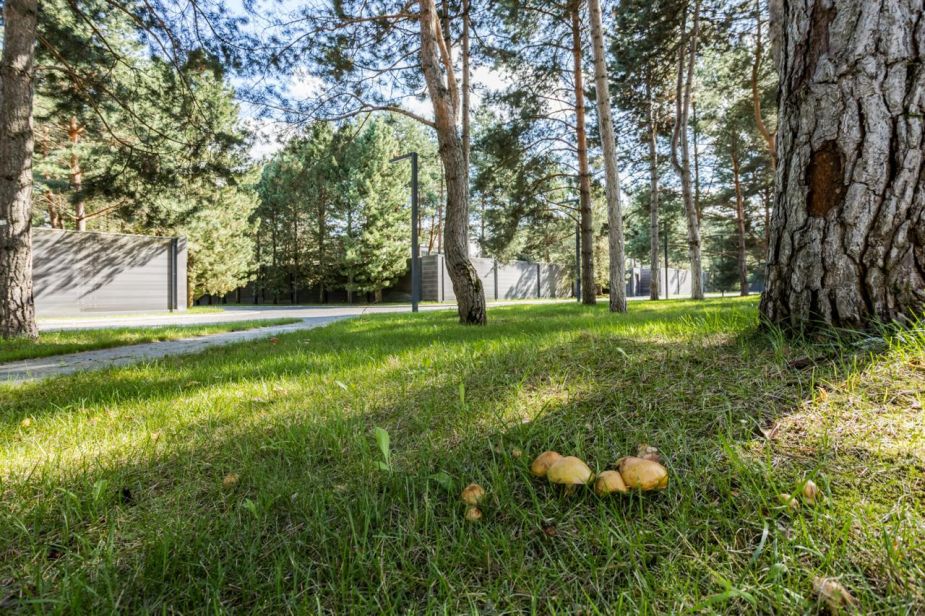 Никольский бульвар