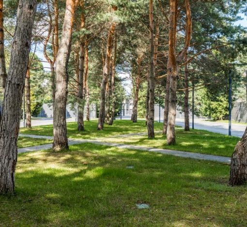 Никольский бульвар