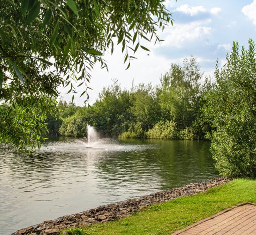 Покровский