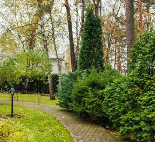 Готовый дом в КП Косыгинские дачи