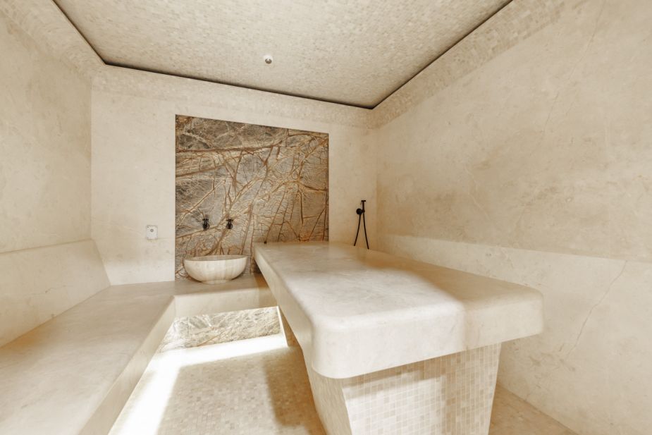 Дизайнерский дом в поселке Величъ