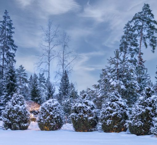 Дом в КП Никольская Слобода