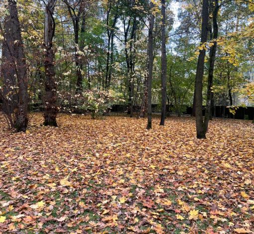 Участок в КП Косыгинские дачи