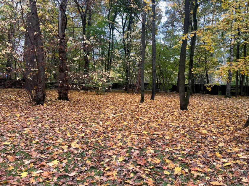 Участок в КП Косыгинские дачи