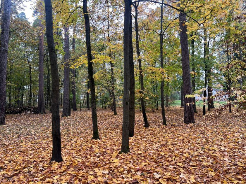 Участок в КП Косыгинские дачи
