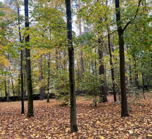 Участок в КП Косыгинские дачи