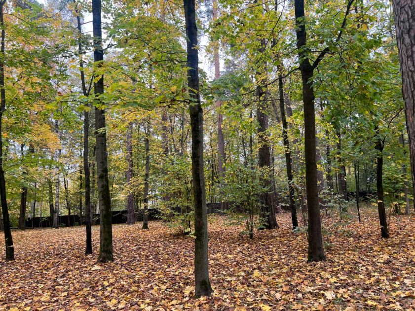 Участок в КП Косыгинские дачи