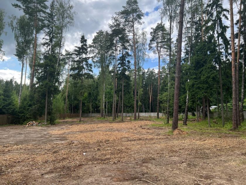 Участок в КП Лесные зори